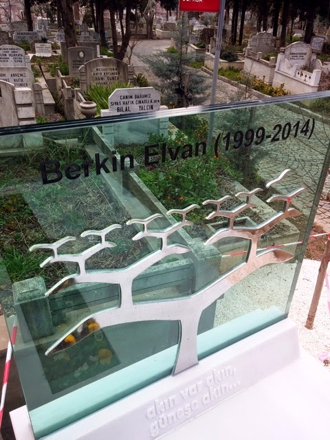 BerkinElvan_mezarı (1)