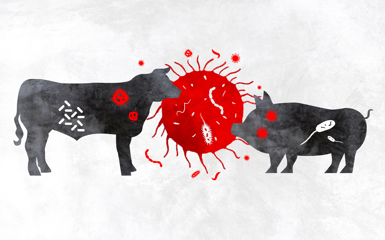 “O yarasayı neden yedin?” sorusundan fazlasına ihtiyacımız var